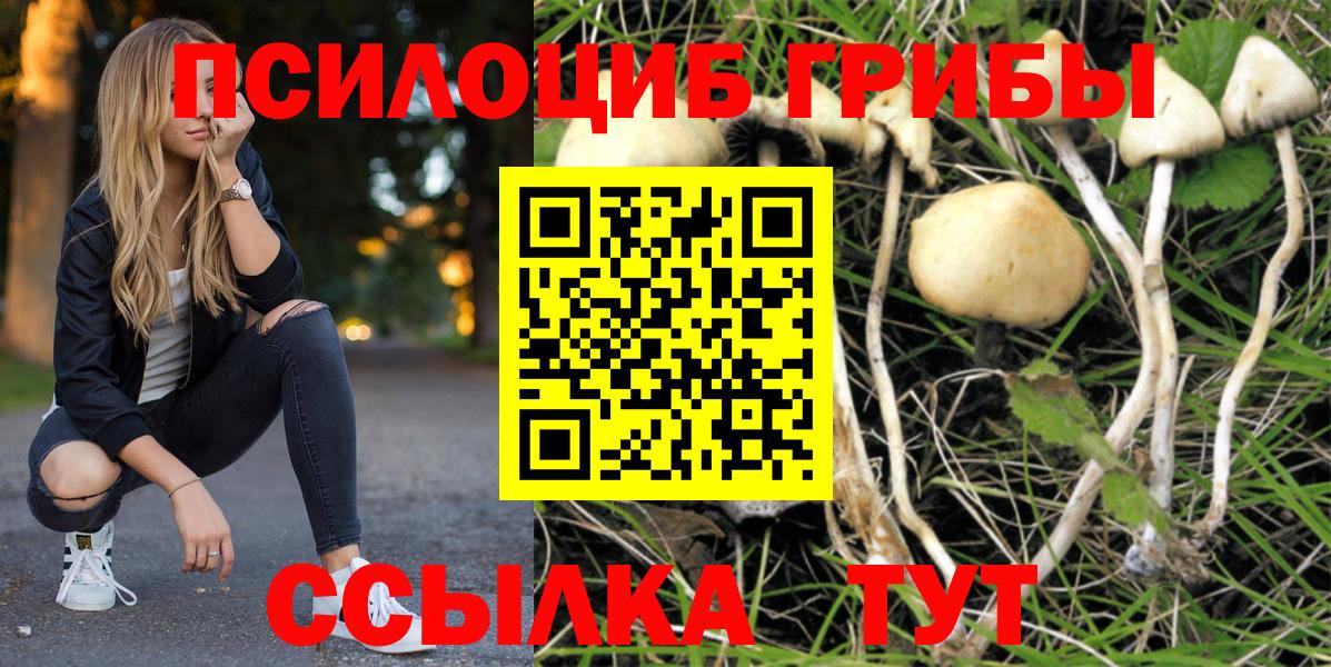 Псилоцибиновые грибы прущие грибы Воткинск