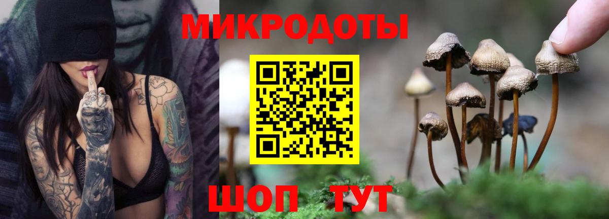 как найти закладки  Вход с VPN  Воткинск  Псилоцибиновые грибы Psilocybine cubensis 
